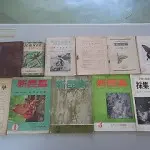 昔の昆虫雑誌