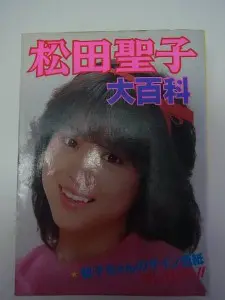 グリーン・ホワイト系 完成品♪ 松田聖子大百科 - アイドルグッズ