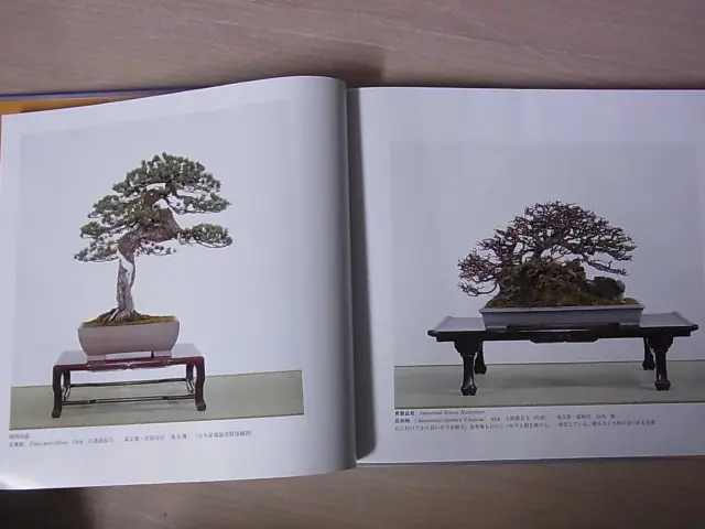 国風盆栽展などの盆栽関連のご本を群馬県太田市で出張させて頂きました