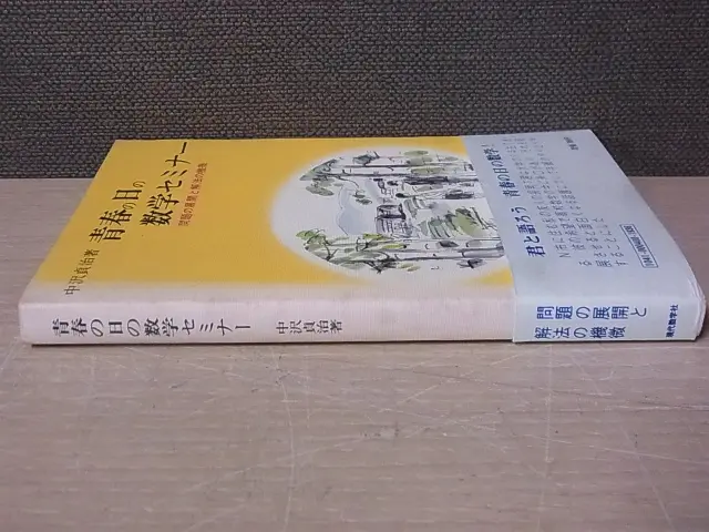 青春の日の数学セミナー