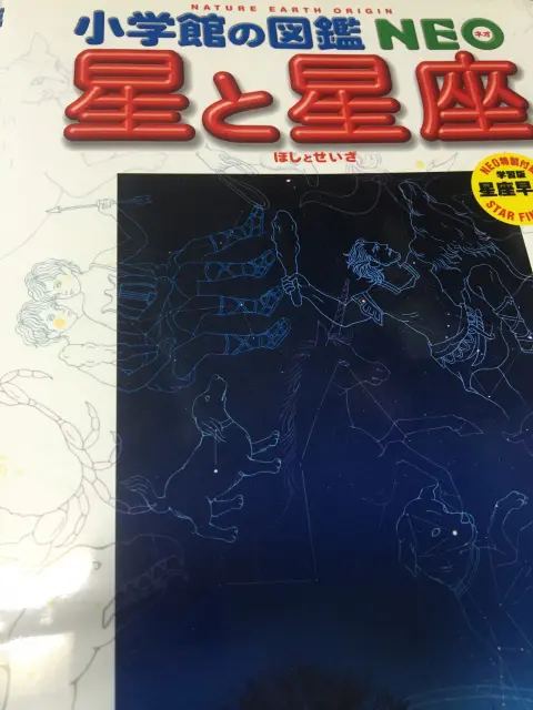 小学館の図鑑　13冊まとめ売り 小学館の図鑑 13冊まとめ売り まとめ割可】小学館の図鑑neo 13冊