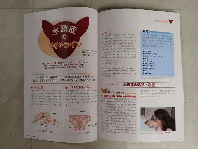 SURGEON まとめ売り　32〜153号販売中 獣医外科雑誌 SURGEON まとめ売り 32〜153号販売中 獣医外科雑誌 - メルカリ