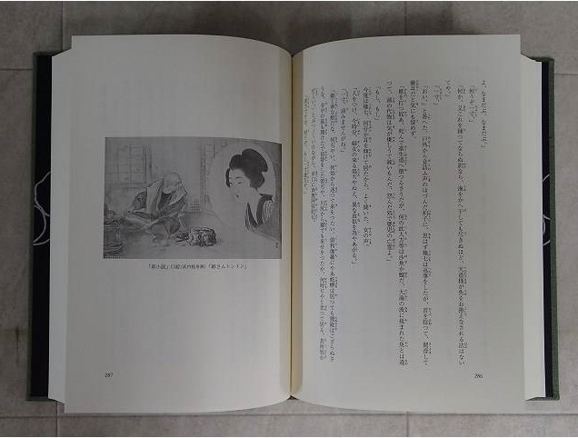 本 新編泉鏡花集 第5巻