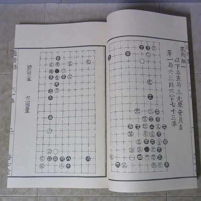 適情録解説 上下巻セット 原本復刻版 組本社 囲碁書 呉清源 その他