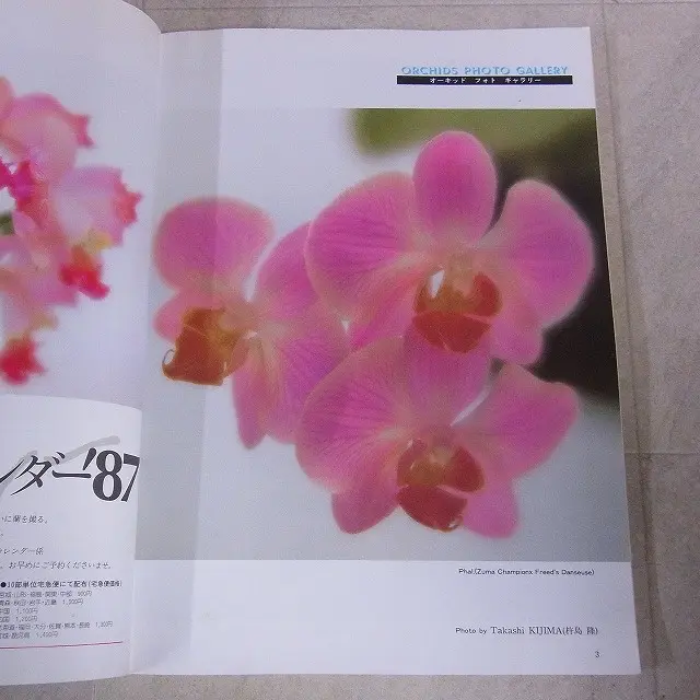 洋らん情報誌 ニューオーキッド 18冊 - 通販 - tacwin.com