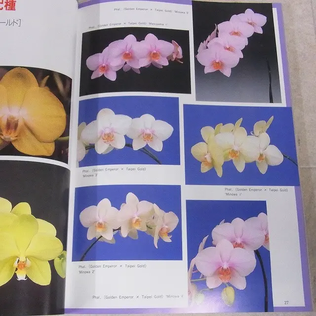 買取情報『洋ラン情報誌 ニューオーキッド』(新企画出版局)｜三月兎之杜