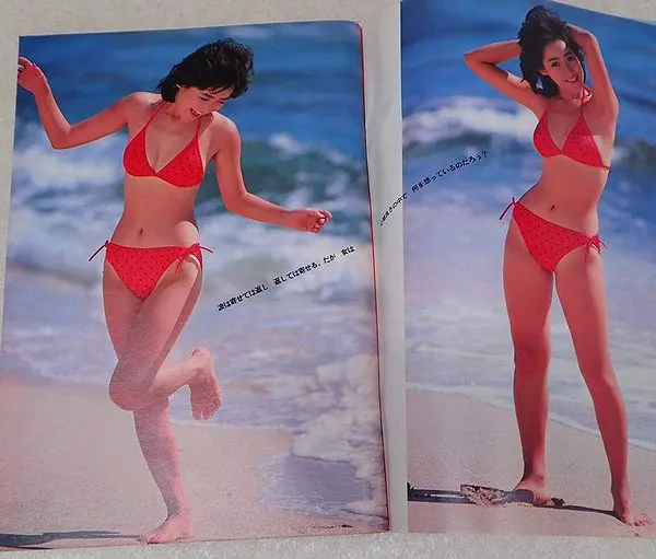 【激安通販 オンラインショップ】 雑誌買取事例『週刊プレイボーイ』1985年（昭和60年） ｜三月兎之杜 週刊誌