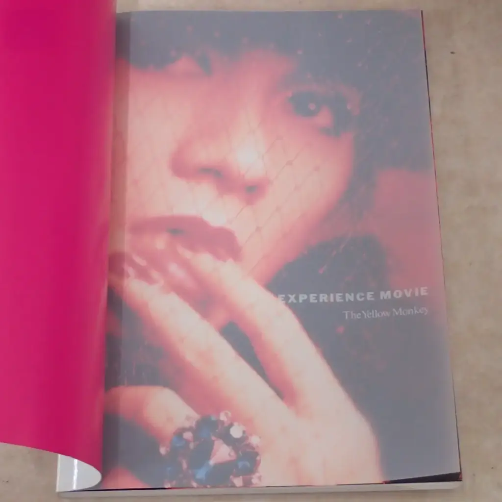 EXPERIENCE MOVIE 吉井和哉asマリ―