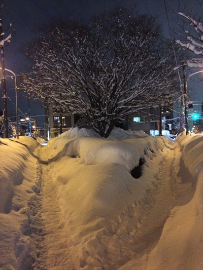 雪のつもった道