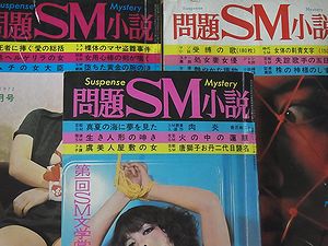 問題ＳＭ小説